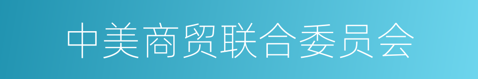 中美商贸联合委员会的同义词