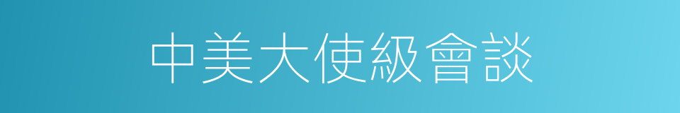 中美大使級會談的同義詞