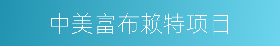 中美富布赖特项目的同义词