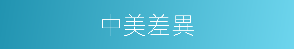 中美差異的同義詞