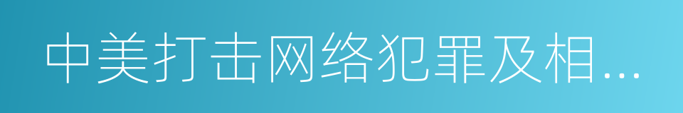 中美打击网络犯罪及相关事项高级别联合对话的同义词