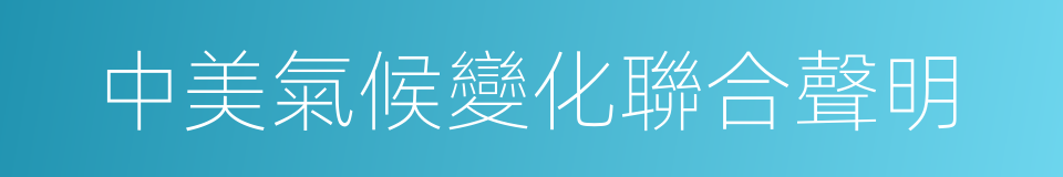 中美氣候變化聯合聲明的同義詞