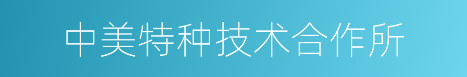 中美特种技术合作所的同义词