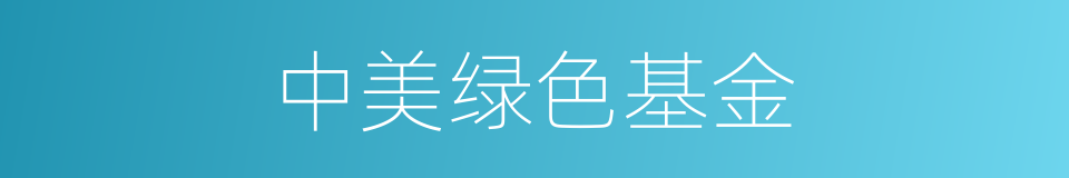 中美绿色基金的同义词