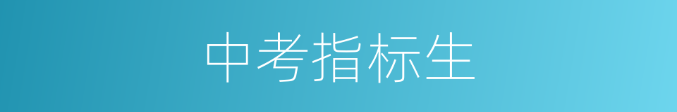中考指标生的同义词