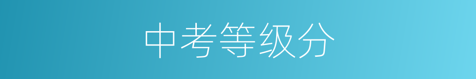 中考等级分的同义词