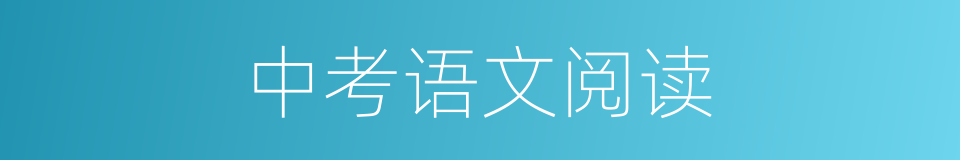 中考语文阅读的同义词