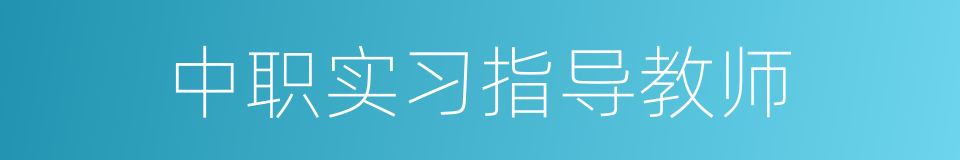 中职实习指导教师的同义词