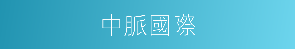 中脈國際的同義詞