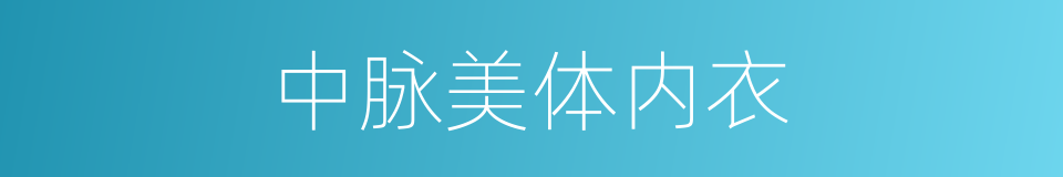 中脉美体内衣的同义词