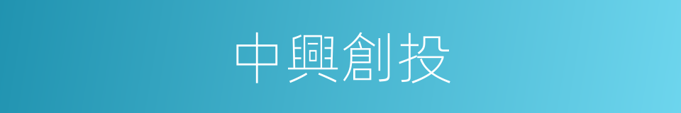 中興創投的同義詞