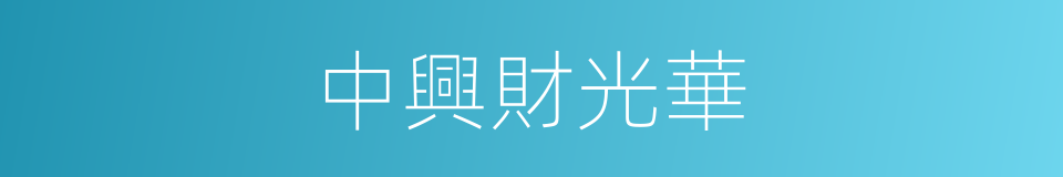 中興財光華的同義詞