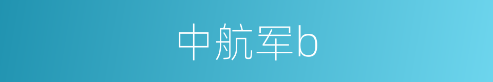 中航军b的同义词