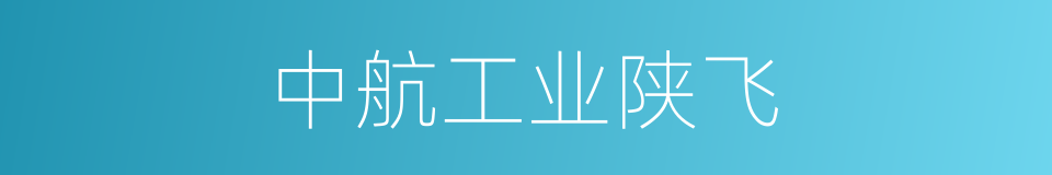 中航工业陕飞的同义词