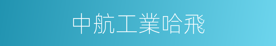 中航工業哈飛的同義詞