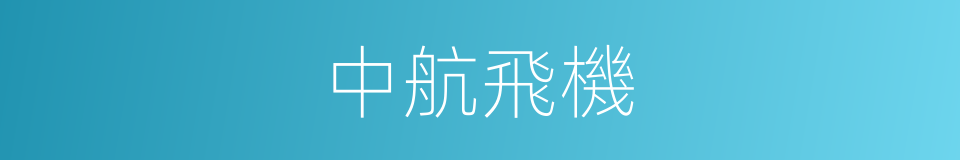 中航飛機的同義詞