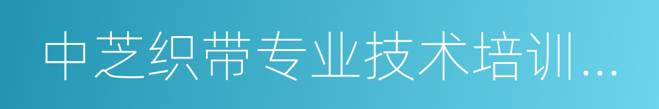 中芝织带专业技术培训中心的同义词