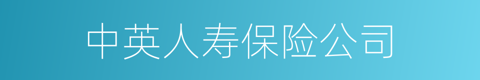 中英人寿保险公司的同义词