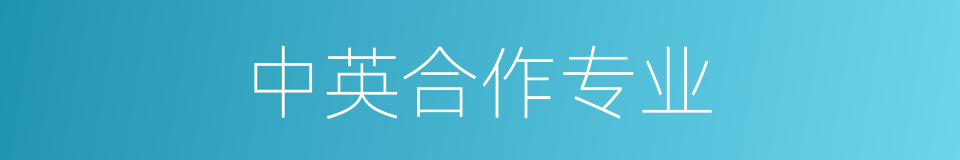 中英合作专业的同义词
