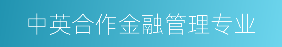 中英合作金融管理专业的同义词