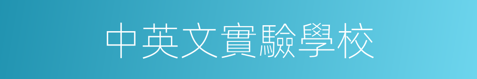 中英文實驗學校的同義詞