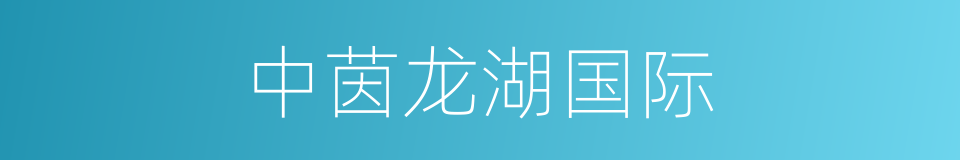 中茵龙湖国际的同义词