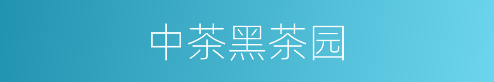 中茶黑茶园的同义词
