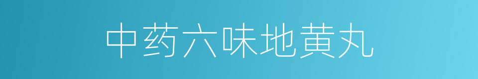 中药六味地黄丸的同义词