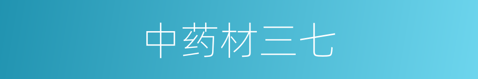 中药材三七的同义词