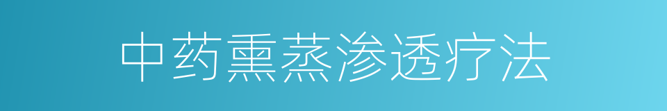 中药熏蒸渗透疗法的同义词