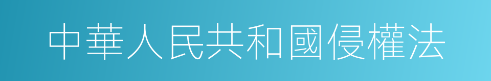 中華人民共和國侵權法的同義詞