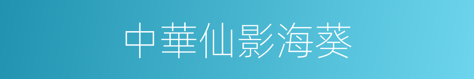 中華仙影海葵的同義詞