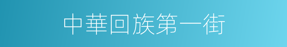 中華回族第一街的同義詞