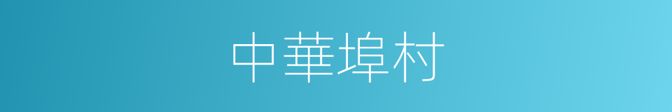中華埠村的同義詞