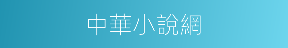 中華小說網的同義詞