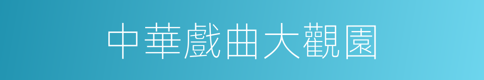 中華戲曲大觀園的同義詞