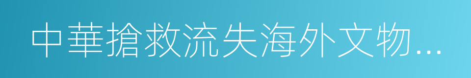 中華搶救流失海外文物專項基金的同義詞