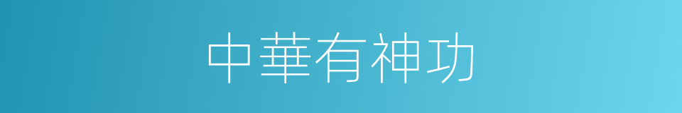 中華有神功的同義詞
