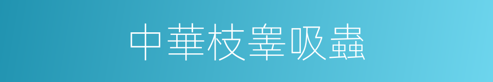 中華枝睾吸蟲的同義詞