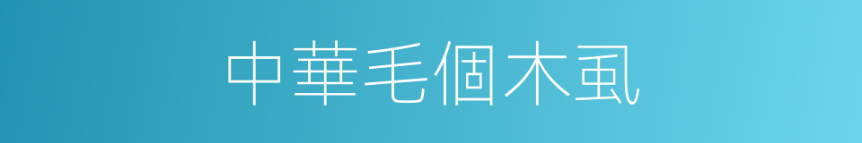 中華毛個木虱的同義詞