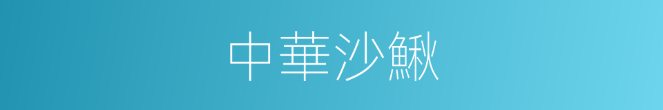 中華沙鰍的同義詞