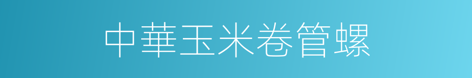 中華玉米卷管螺的同義詞
