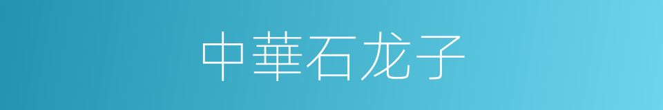 中華石龙子的同義詞