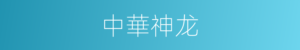 中華神龙的同義詞