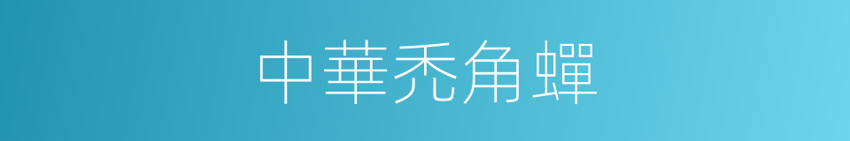 中華禿角蟬的同義詞