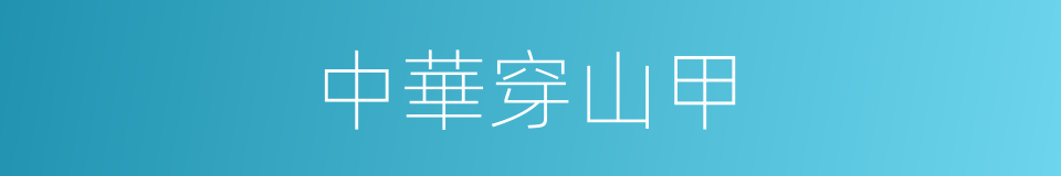 中華穿山甲的同義詞
