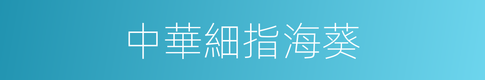 中華細指海葵的同義詞