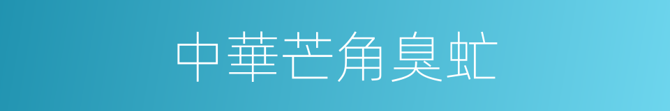 中華芒角臭虻的同義詞