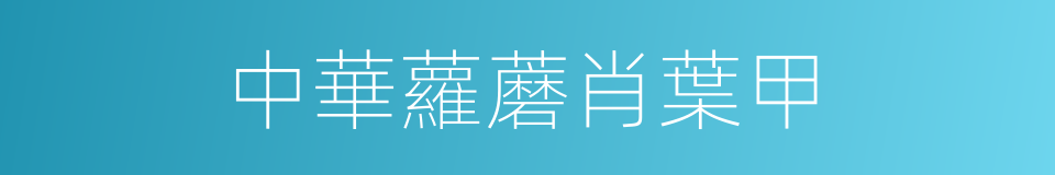 中華蘿蘑肖葉甲的同義詞