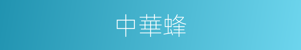 中華蜂的同義詞